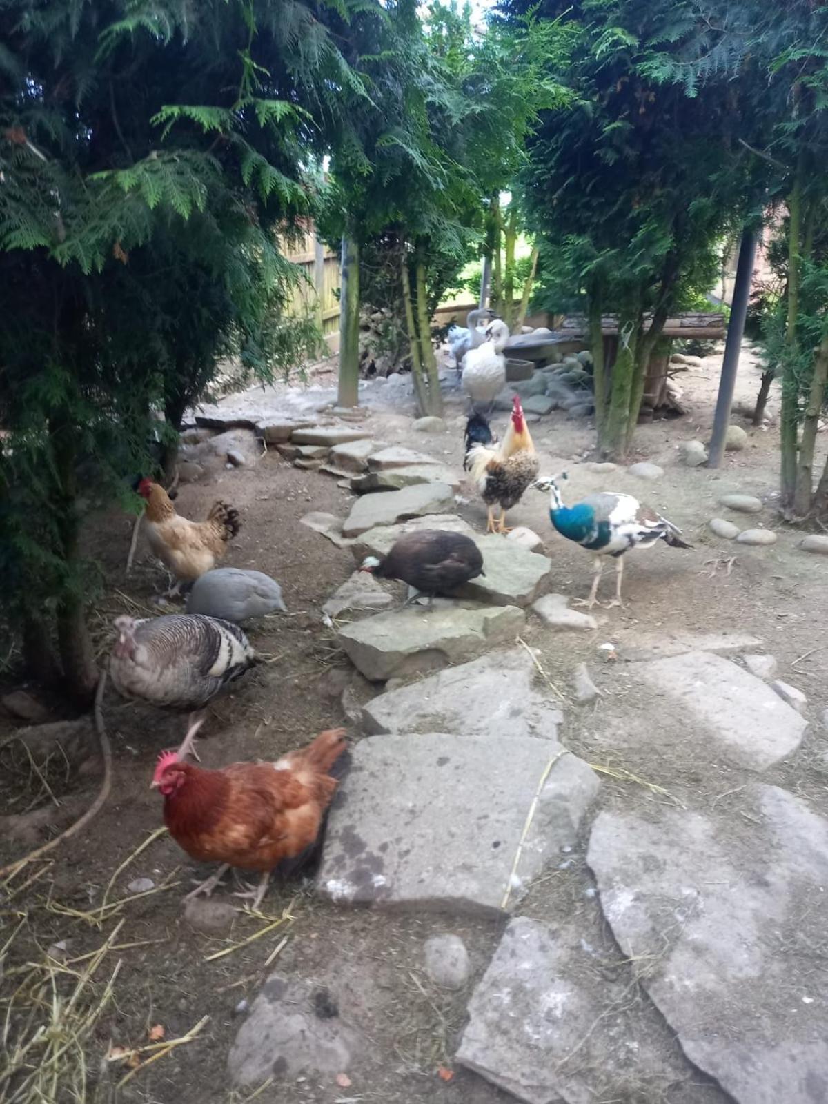 Koperkowe Rancho Beskid Wyspowy Domek Malopolskie Kamionna Kamionna  Kültér fotó