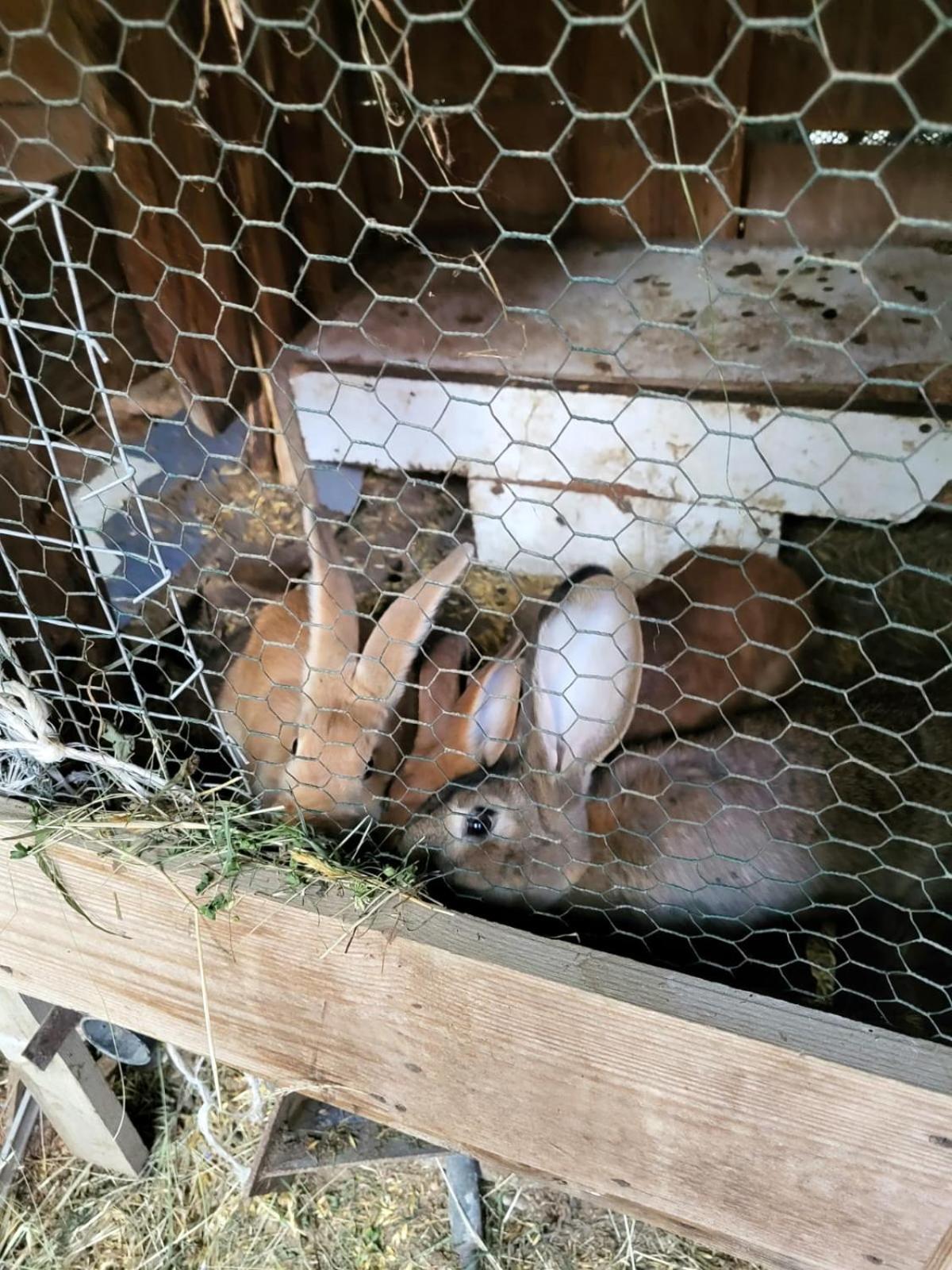 Koperkowe Rancho Beskid Wyspowy Domek Malopolskie Kamionna Kamionna  Kültér fotó