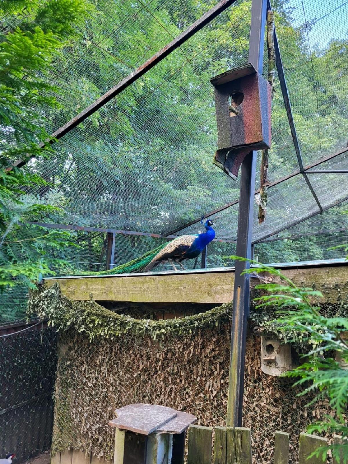 Koperkowe Rancho Beskid Wyspowy Domek Malopolskie Kamionna Kamionna  Kültér fotó