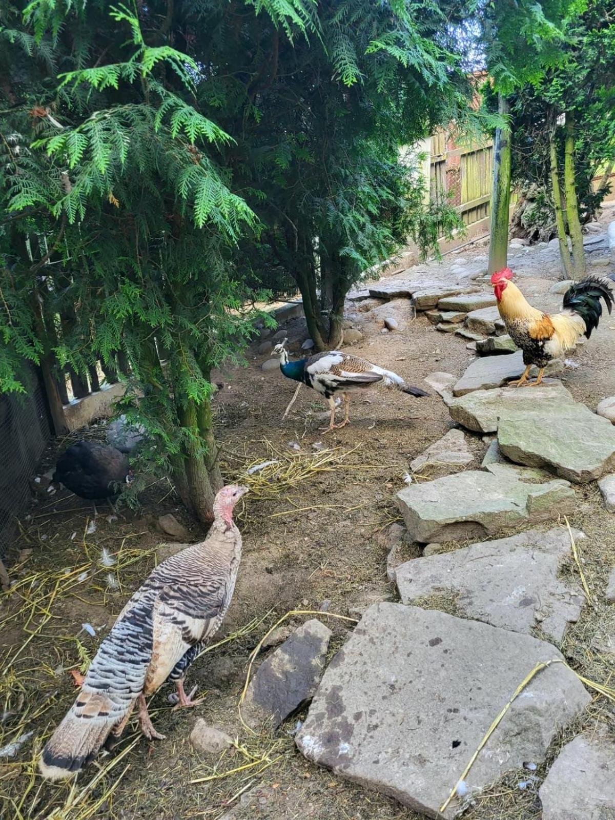 Koperkowe Rancho Beskid Wyspowy Domek Malopolskie Kamionna Kamionna  Kültér fotó