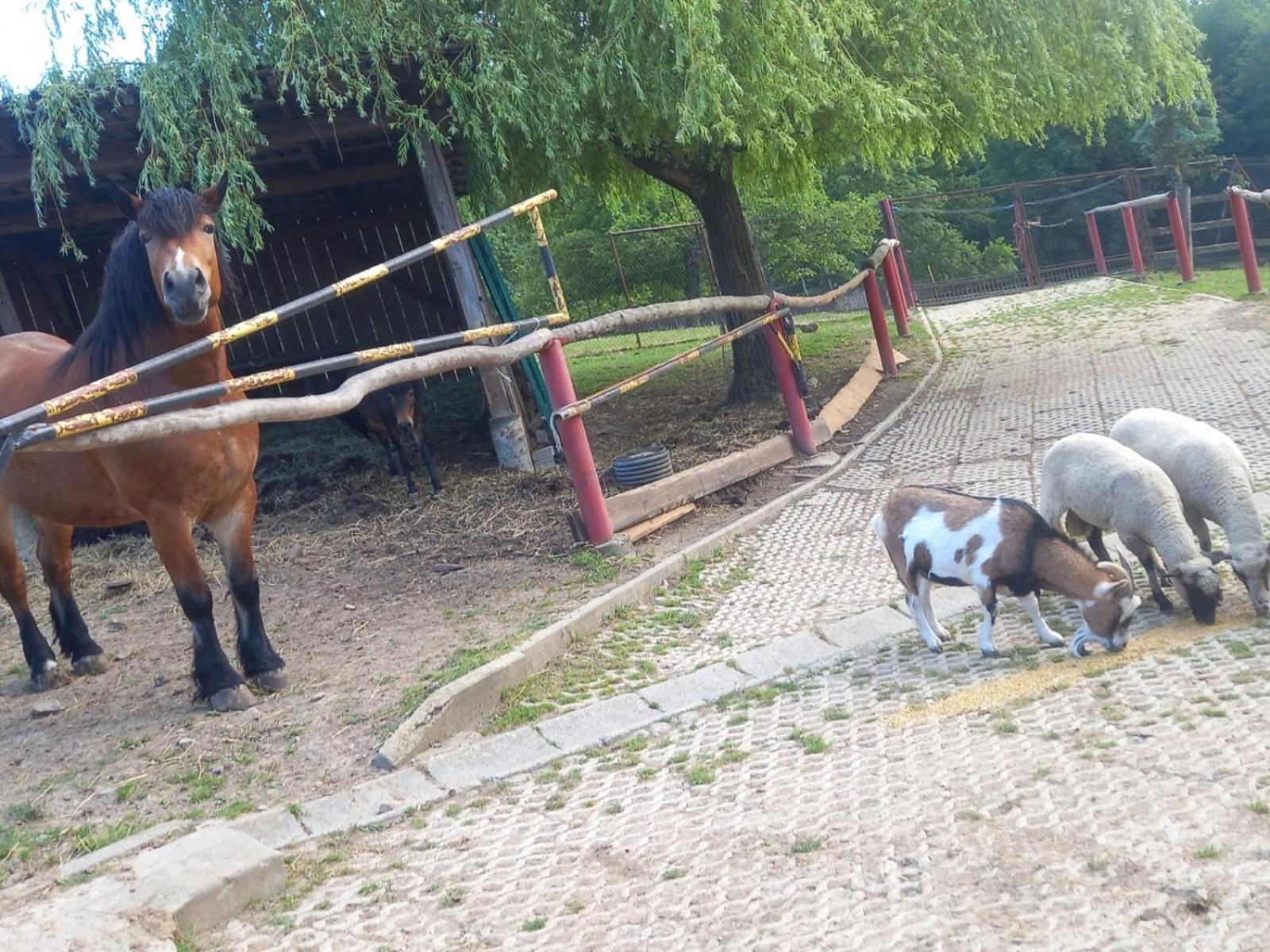 Koperkowe Rancho Beskid Wyspowy Domek Malopolskie Kamionna Kamionna  Kültér fotó